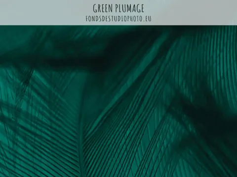 GREEN PLUMAGE