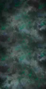 Fly