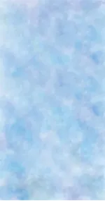 Blunea