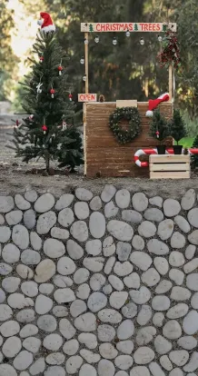 Tree Land Christmas