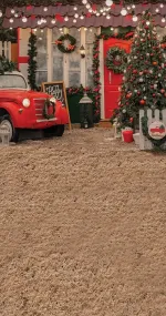 Classy Christmas