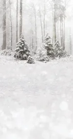 Gentle Winter
