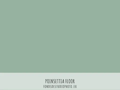 Poinsettia floor