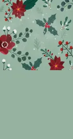 Poinsettia