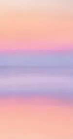 RAINBOW WOW