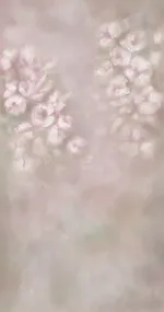 Dalia