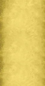 Sunny