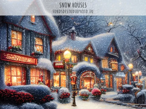 SNOW HOUSES