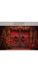 Gate for Christmas