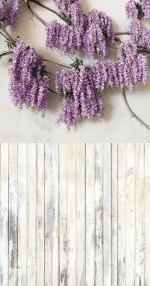 Lilac Wall