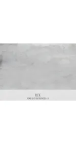 Elite
