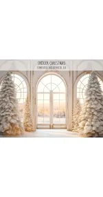 Indoor Christmas