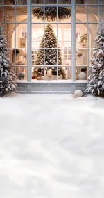 Christmas Style