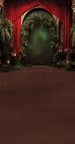 Festive Christmas