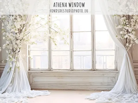 Athena Window