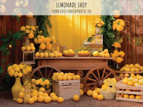 Lemonade Shop
